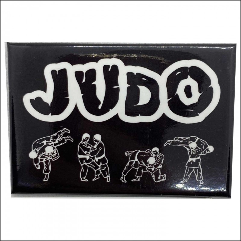 MAGNES NA LODÓWKĘ RZUTY...