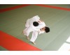 Jak wrócić do treningów judo po przerwie?